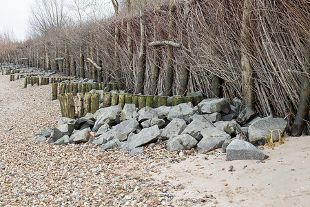 防洪洪水保护草丛碎石木头芦苇栅栏海滩贝壳背景图片