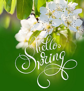 四月你好啊春叶绿叶的美丽的鲜花树 封上并发短信 你好 春天 书法字母背景