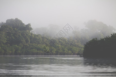 亚马逊雨林 秘鲁 南美洲热带情调城市拉丁绿色植物旅行环境森林溪流盆地美丽高清图片素材