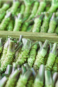 在典型的日本市场销售的Wasabi根街道香料零售调味品海洋访问蔬菜情调草本植物植物背景图片