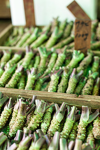 在典型的日本市场销售的Wasabi根草本植物蔬菜城市美食香料价格海洋寿司访问街道背景图片