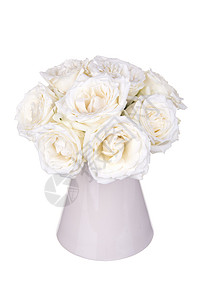 玫瑰礼物花瓣庆典绿色植物白色美丽背景图片