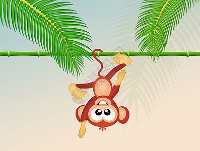 猴子拼图树森林里的猴子插图丛林竹子树叶荒野棕榈哺乳动物动物卡通片灵长类背景