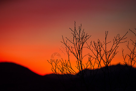 夏日夕阳天空树木山脉红色背景图片
