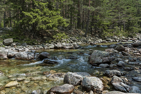扎卡尔帕茨卡自然保加利亚高清图片
