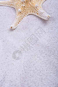 沙原上的白海星热带灰色墙纸星星婚礼海星背景图片