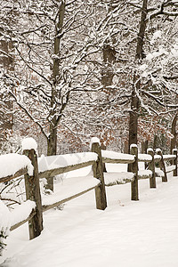 边框素材冬天白雪栅栏分栏边框击剑季节性季节树木围栏分割轨森林冻结背景