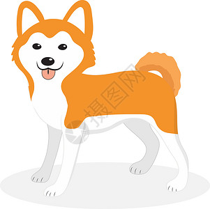 秋田犬捉迷藏秋田犬品种狗风格 孤立在白色背景上的可爱小狗 矢量插图剪贴画设计图片