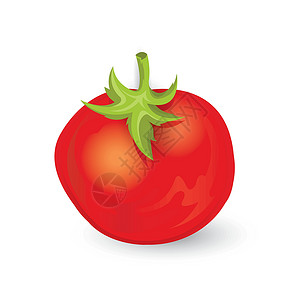番茄图标和食物 vecto厨房海报蚀刻市场产品绘画雕刻生态农场墨水背景图片