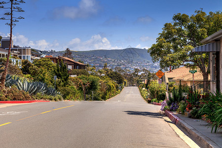 拉古纳海滩Hillcrest车道路边的蓝天山坡奢华全景驾驶旅行丘陵家园背景图片