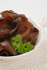 木材耳蘑菇耳朵美食食物团体背景图片