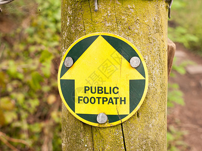 在森林中一个公共人行道标志 通往一条小路的路上高清图片