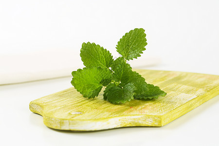 香蜂花柠檬酸叶叶烹饪绿色药草草本植物食物薄荷小枝香蜂草树叶香脂背景