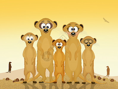 麦加 麦加的家属插图动物家庭森林卡通片荒野哺乳动物毛皮尾巴丛林背景图片