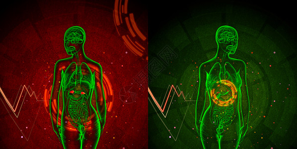 3d 提供肾上腺素医学插图渲染尿道输尿管蓝色膀胱3d器官解剖学身体肾上腺背景图片