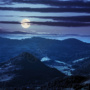 夜里在山上爬起的迷宫林背景