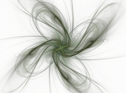 3D 以植物形态的形式 以绿色抽象的分形渲染扇子白色背景图片