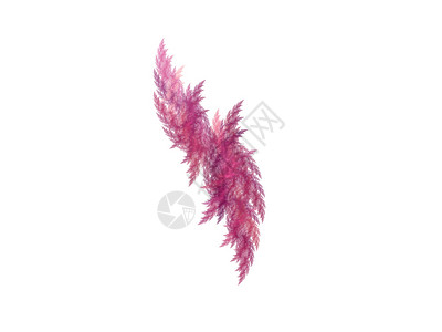 粉红色双羽毛中的抽象分形羽毛白色渲染背景图片