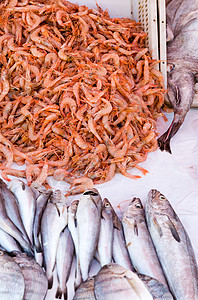 在摩洛哥Essaouira的鱼市场上展示新鲜海产食品可口高清图片素材