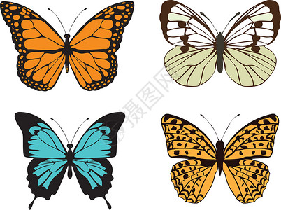 矢量复古蝴蝶纺织品插图墙纸昆虫季节织物翅膀打印风格绘画背景图片