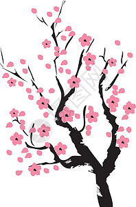 矢量樱花花瓣季节艺术花朵插图花园白色粉色鸟类植物背景图片