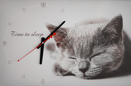 时钟与猫动物 · 艺术 · 猫 · 时钟 · 装饰 · 猫科动物 · 家居装饰 · 哺乳动物 · 睡眠 · 钟表背景