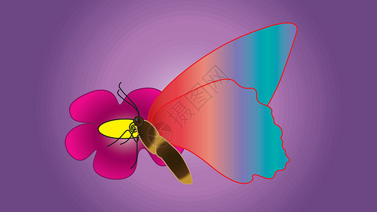 美丽的蝴蝶和大翅膀坐在花朵上背景图片