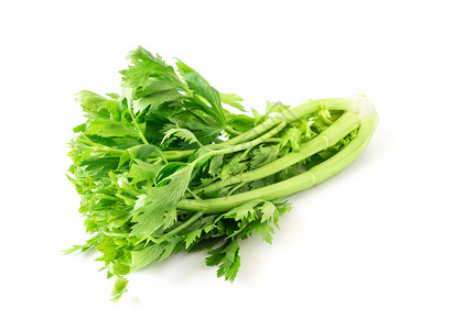 白色背景的新鲜菜菜 健康食品概念以及主食蔬菜叶子食物节食饮食绿色烹饪背景图片
