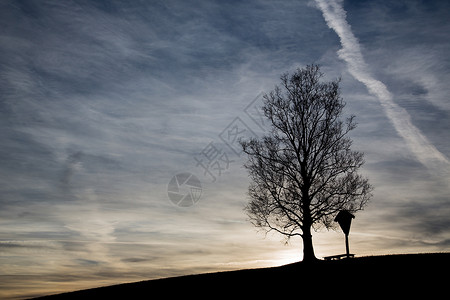 日出时 有树和黑色的月光日落辉光蓝色娱乐天空太阳牧场场地旅行草地美丽的高清图片素材
