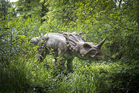 恐龙森林恐龙捕食者树木动物侏罗纪公园眼睛森林野生动物古生物学灭绝背景