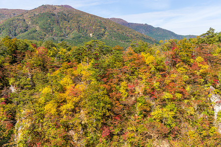 秋天的纳鲁科峡谷叶子鸣子岩石公园季节高清图片