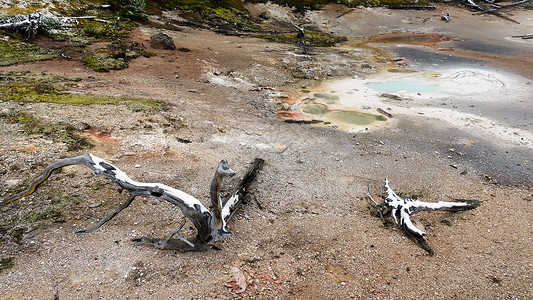 陶泥盆黄石公园的艺术家绘画池风景公园荒野绿地栖息地危险火山旅行环境植物背景