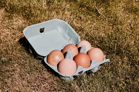 新鲜鸡蛋厨房食物烹饪范围免费背景图片