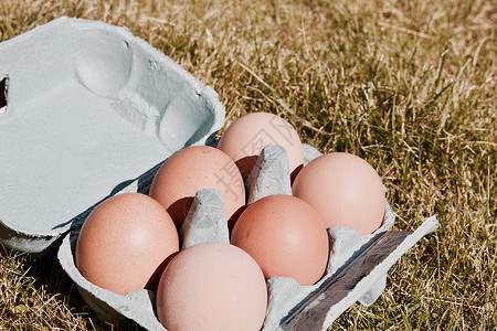 新鲜鸡蛋食物范围免费烹饪厨房背景图片