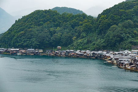 山屋京都植物高清图片