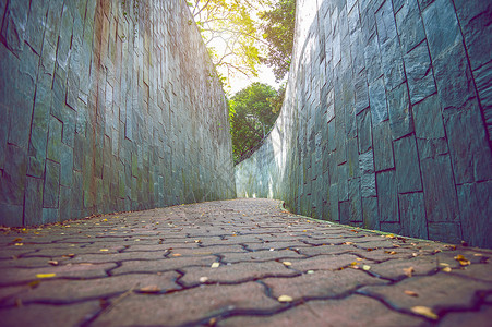 公园中步行道木头森林车道街道绿化露台铺路途径美化叶子背景