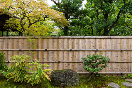 日本花园叶子楼梯绿色园艺公园晴天环境高清图片