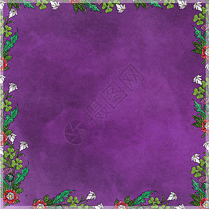 紫色背景的花边框蓝色框架艺术红色黑色白色花朵流行背景图片