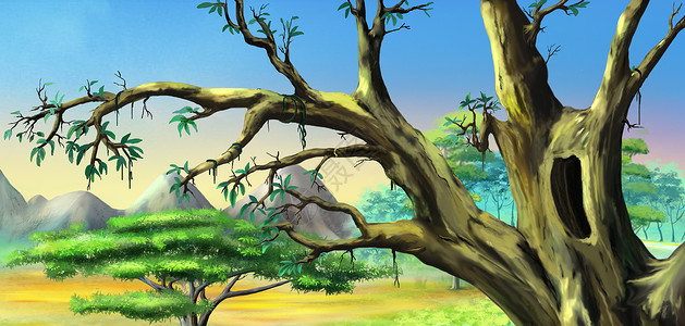 与大洞对抗蓝天的非洲树背景图片