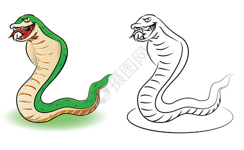 绿蛇和大纲 - 撕毁卡通插图说明背景图片