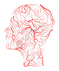 头部血管素材静脉人体头部矢量符号图标设计 美丽的怡乐思药品卫生卡片身体雕刻保健绘画生物学科学标识插画