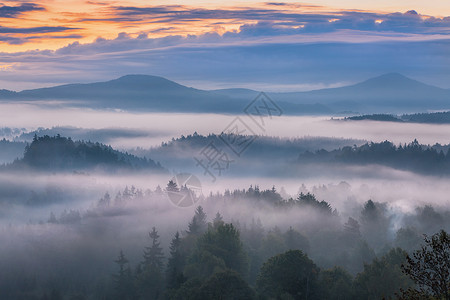 在波希米亚的瑞士上空 清晨雾雾蓝色公园环境旅行日落天气爬坡植物草地阴霾背景图片