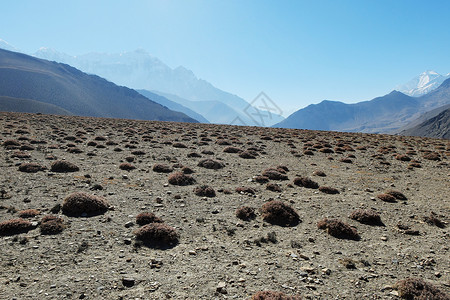 尼尔吉里最高安纳布尔纳峰高清图片