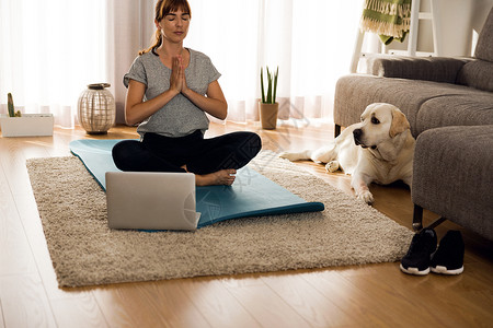 宠物客厅和我的懒懒狗一起运动呼吸客厅技术瑜珈训练房间瑜伽冥想身体重量背景