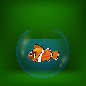 金柏湾小丑鱼海小丑鱼的多彩插图插画