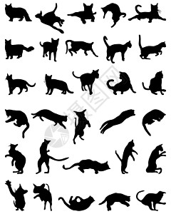 生肖剪影猫的剪影野生动物艺术装饰跳跃十二生肖卡通片风格绘画插图哺乳动物设计图片