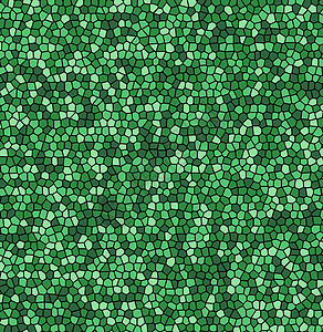 绿色叶子纹理马赛克静脉表面矢量背景创造力纤维墙纸生物学纺织品网格装饰品细胞窗饰织物背景图片