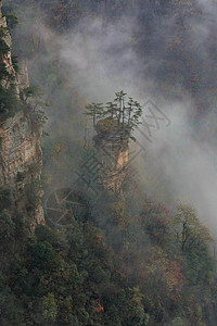 天元湖南省绿色的高清图片