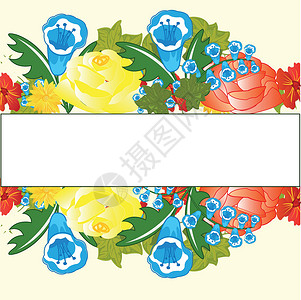装饰植物背景植物群绝缘插图叶子白色框架玫瑰蓝色自然背景图片