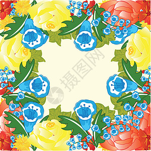 美丽的田地花植物植物群叶子蓝色玫瑰插图白色自然框架背景背景图片